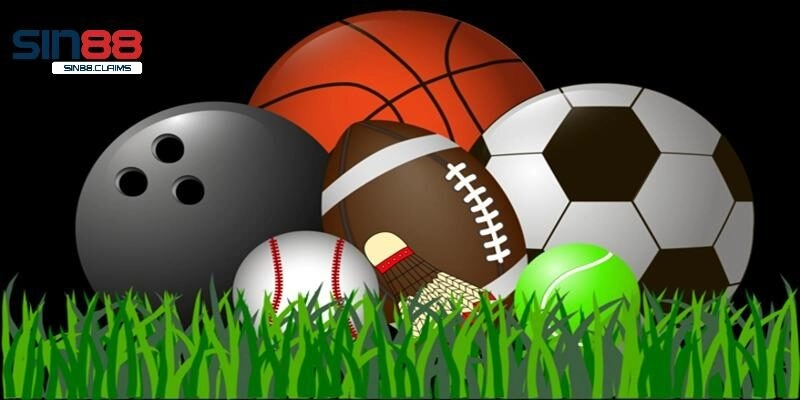 Đôi nét cơ bản về sảnh cá cược S - Sports