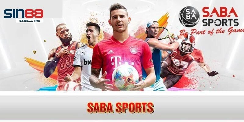 Live trực tiếp hàng trăm trận đấu mỗi ngày